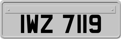 IWZ7119