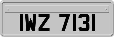 IWZ7131