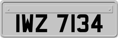 IWZ7134