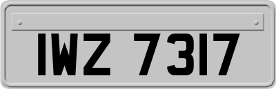 IWZ7317
