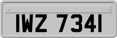 IWZ7341