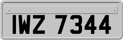 IWZ7344