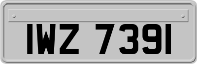 IWZ7391
