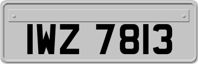 IWZ7813