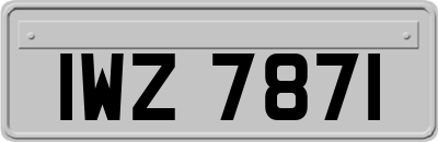 IWZ7871