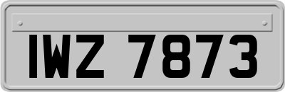 IWZ7873