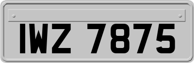 IWZ7875