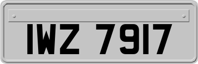 IWZ7917