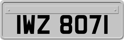 IWZ8071