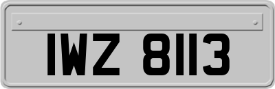 IWZ8113