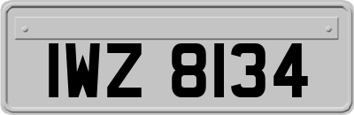 IWZ8134
