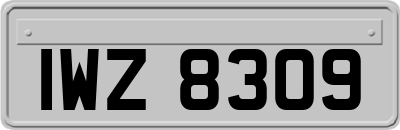 IWZ8309