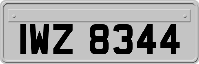 IWZ8344