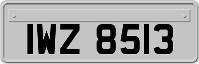 IWZ8513