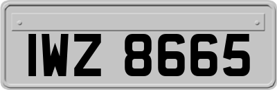 IWZ8665