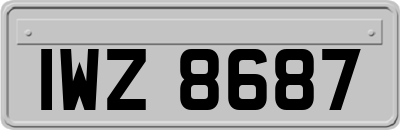 IWZ8687