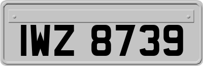 IWZ8739