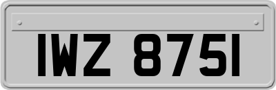 IWZ8751