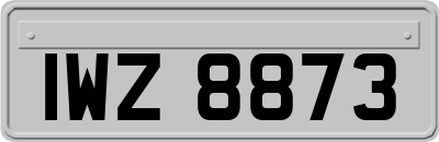 IWZ8873