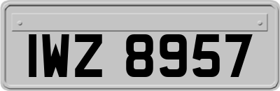 IWZ8957