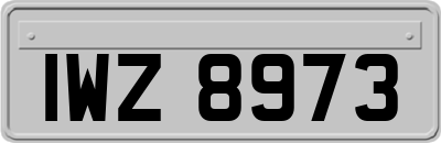 IWZ8973