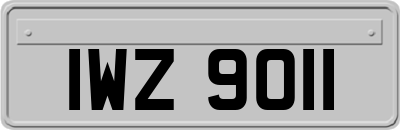 IWZ9011