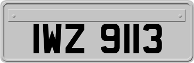 IWZ9113