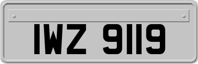 IWZ9119