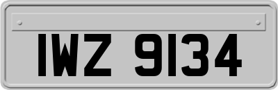 IWZ9134