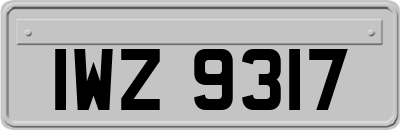IWZ9317