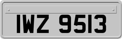IWZ9513