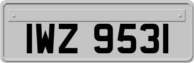 IWZ9531