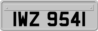 IWZ9541