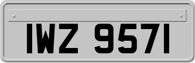 IWZ9571