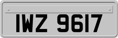 IWZ9617