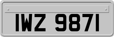 IWZ9871