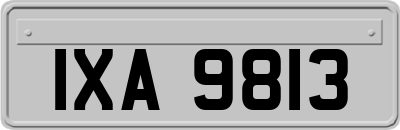 IXA9813