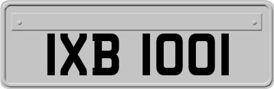 IXB1001