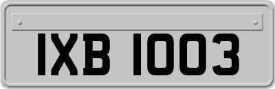 IXB1003