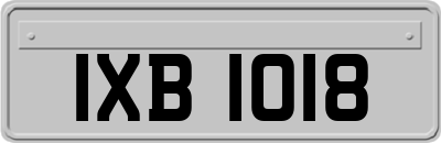 IXB1018
