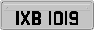 IXB1019