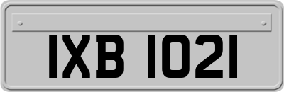 IXB1021