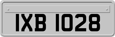 IXB1028