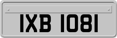 IXB1081