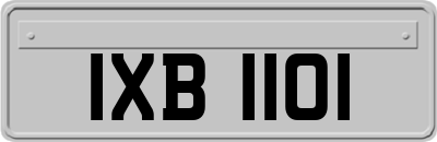 IXB1101
