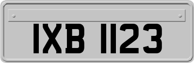 IXB1123