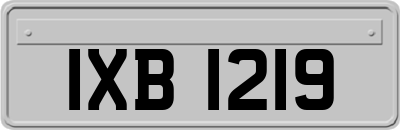 IXB1219