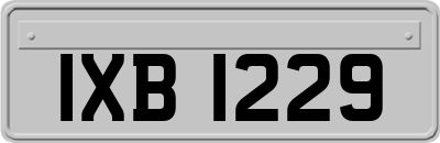 IXB1229