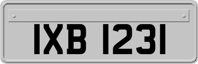 IXB1231