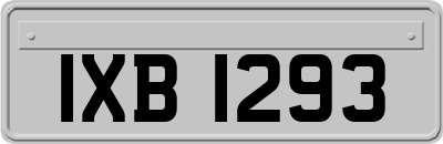 IXB1293